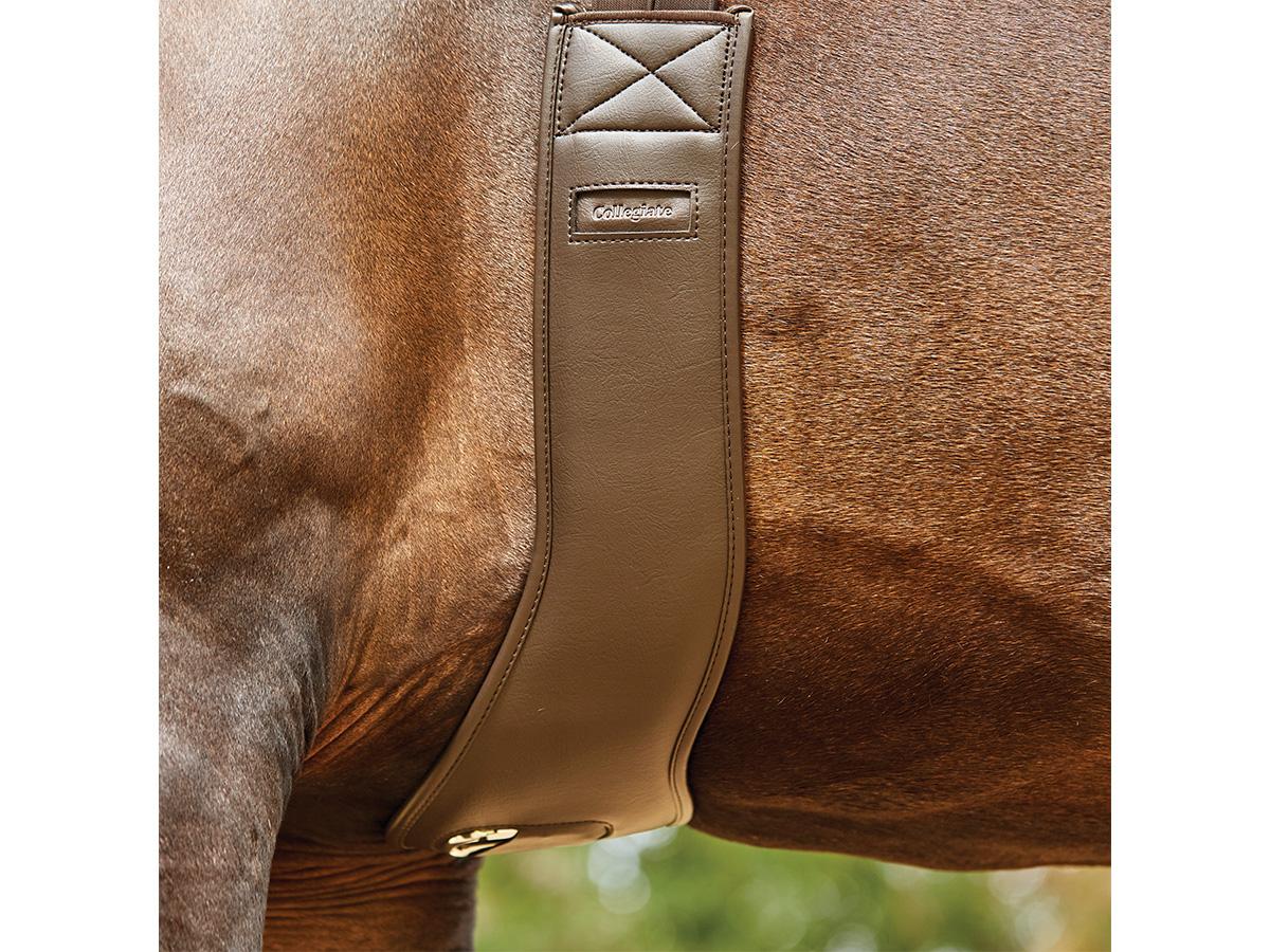 Collegiate Antomic Girth