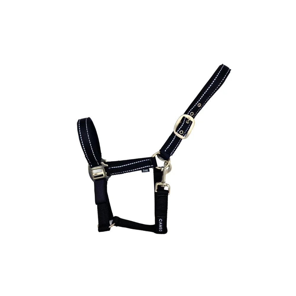 Cameo Equine Fieldsafe Headcollar