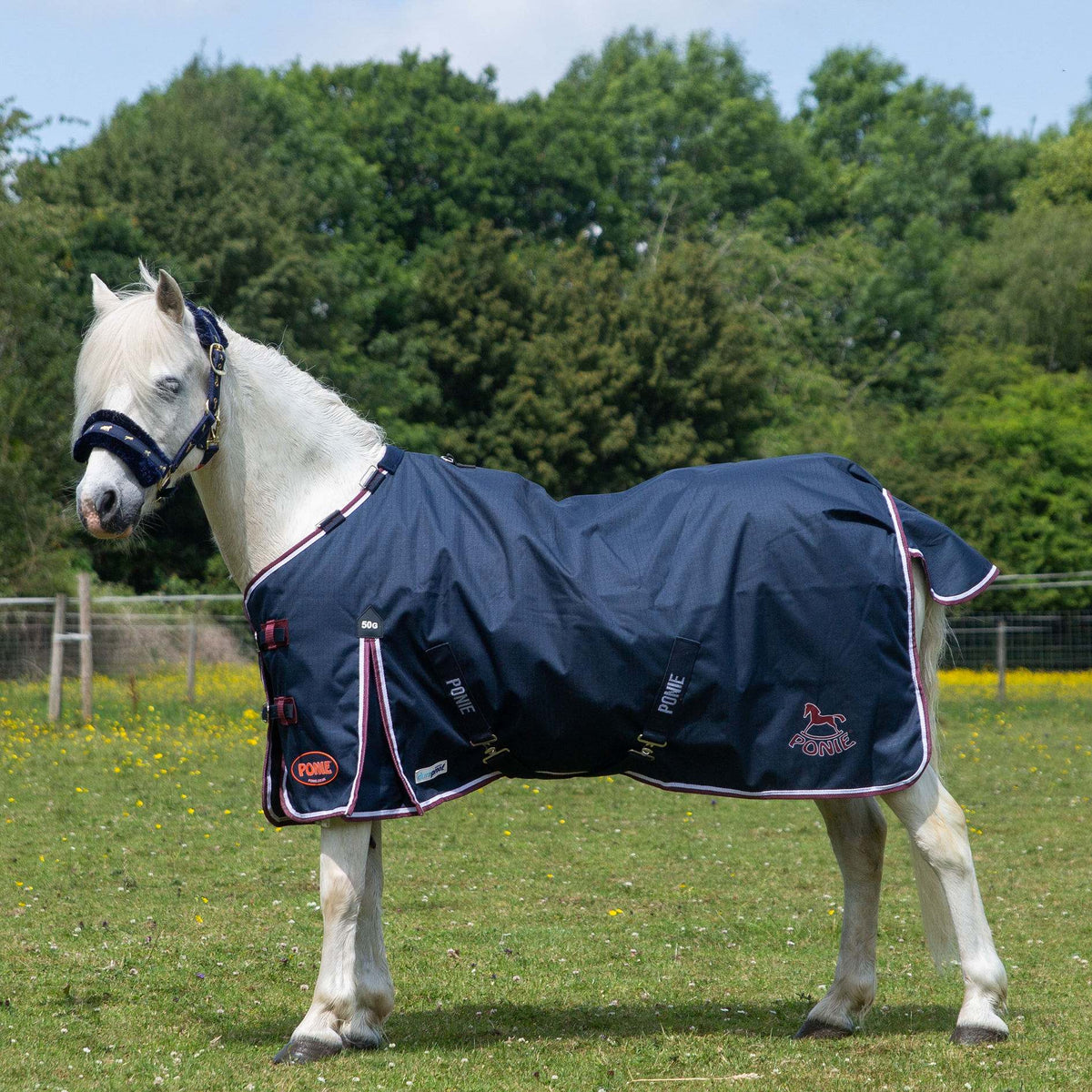 Gallop Trojan Duraproof Ponie Turnout 50g
