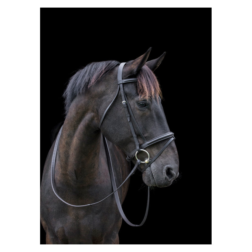 Cameo Classic Bridle With Reins