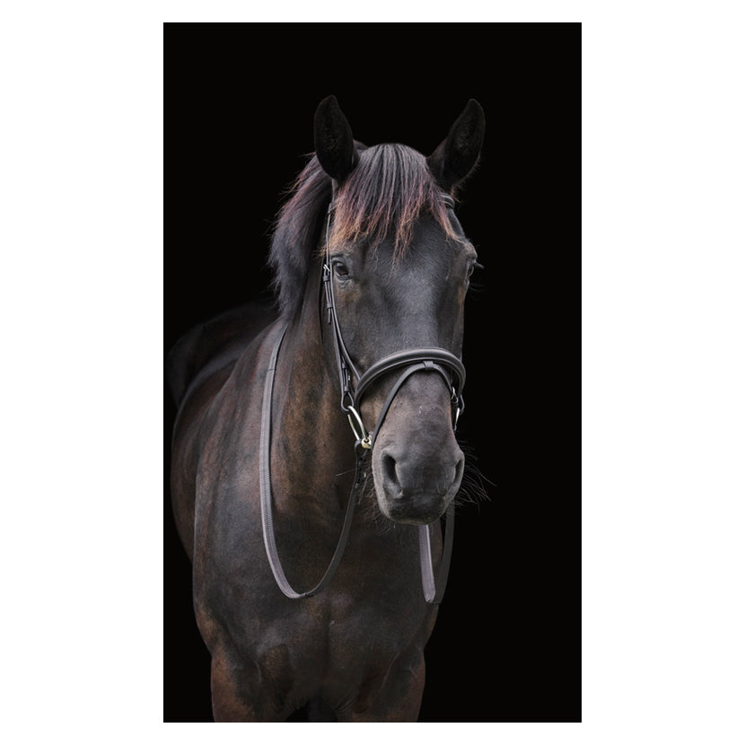 Cameo Classic Bridle With Reins