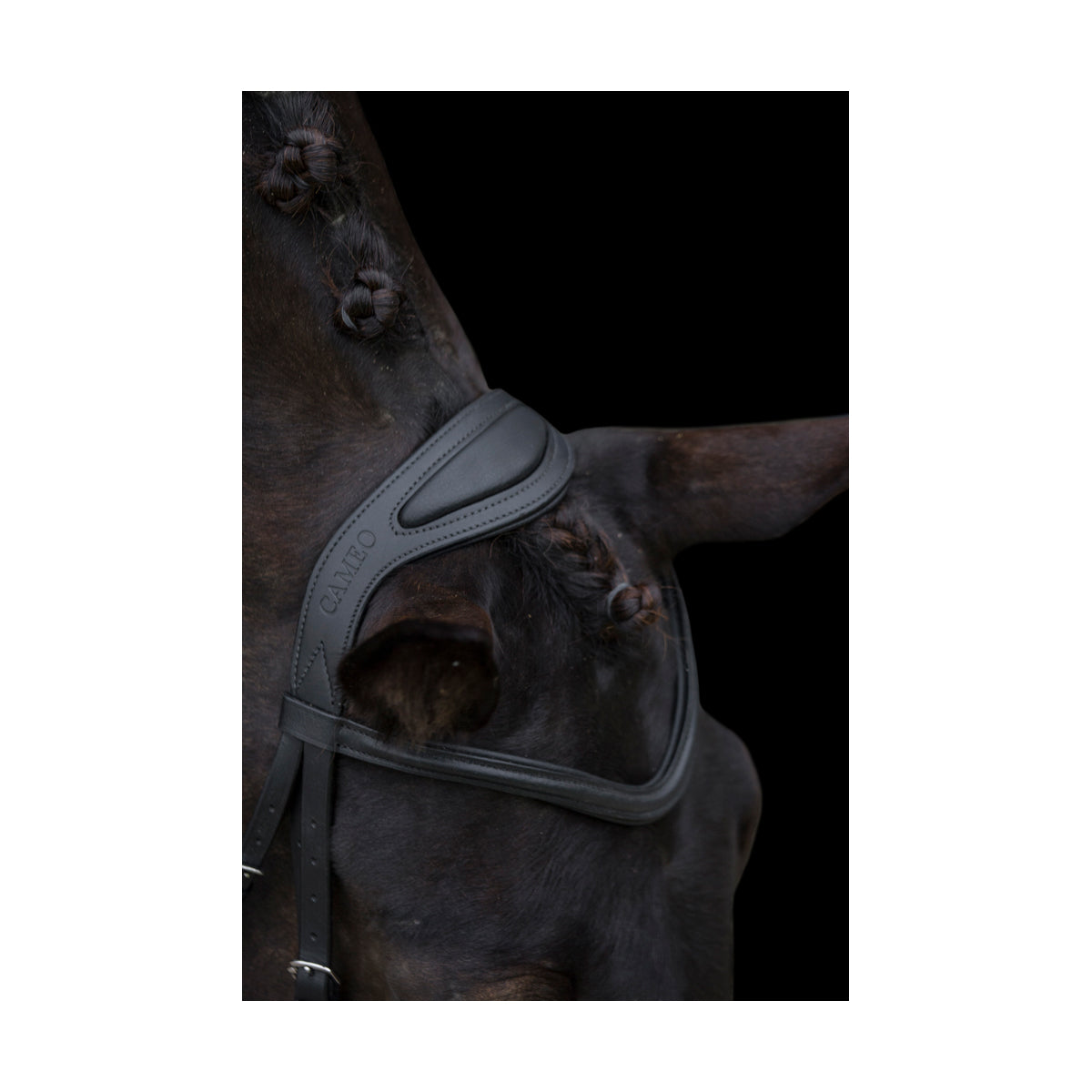 Cameo Core Collection Anatomic Bridle With Sure grip Reins