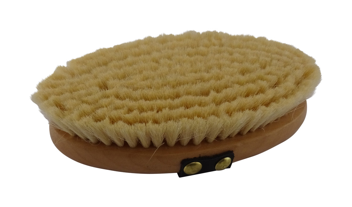 Cameo Equine Eco Rider Goat Hair Body Brush