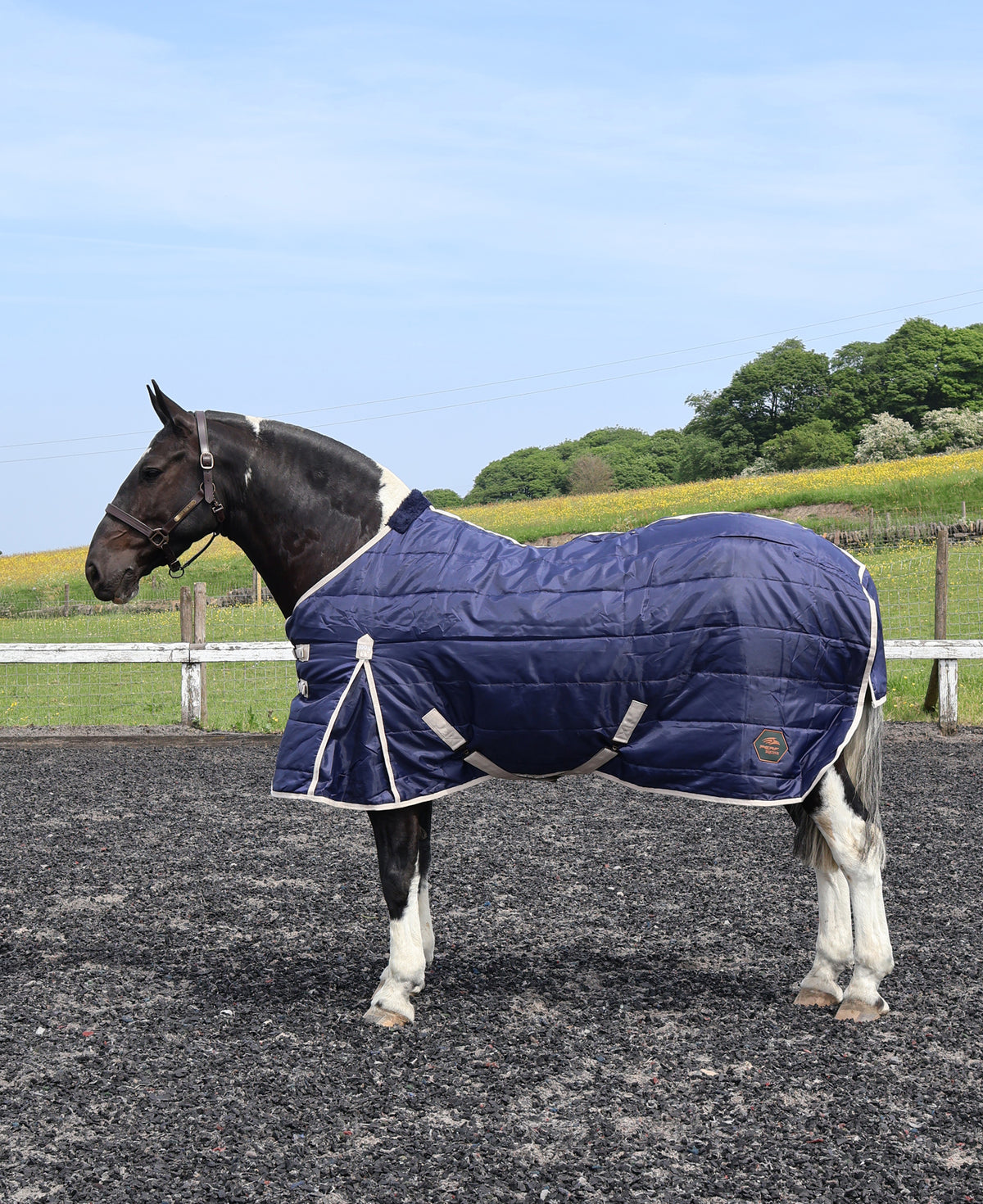 Perf Stable Rug Standard Neck Dark Navy 100g