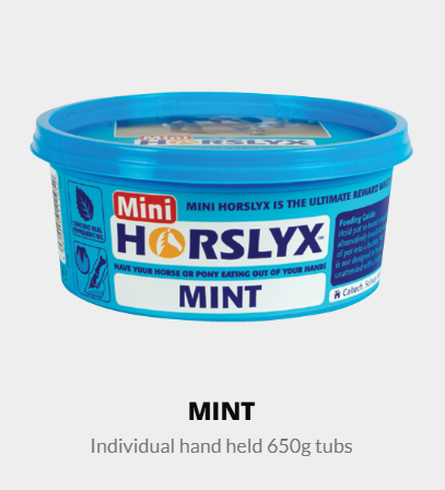 Mini Horslyx 650g