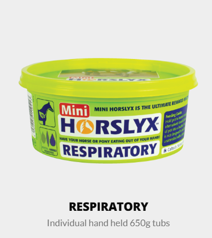 Mini Horslyx 650g