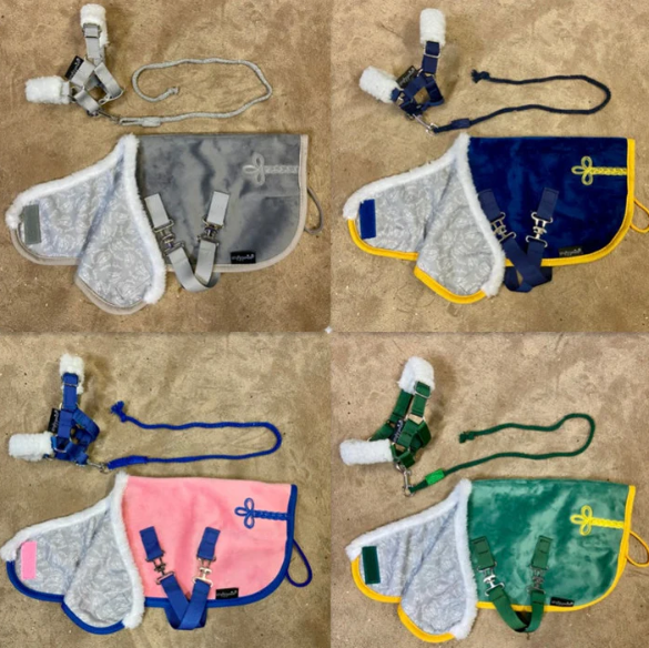 Crafty Ponies Deluxe Show Rug Set