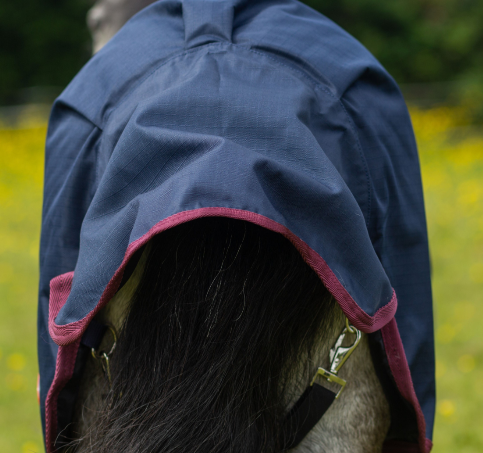 Gallop Ponie 50g Turnout