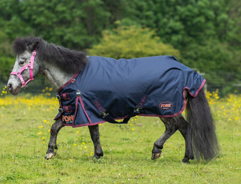Gallop Ponie 50g Turnout