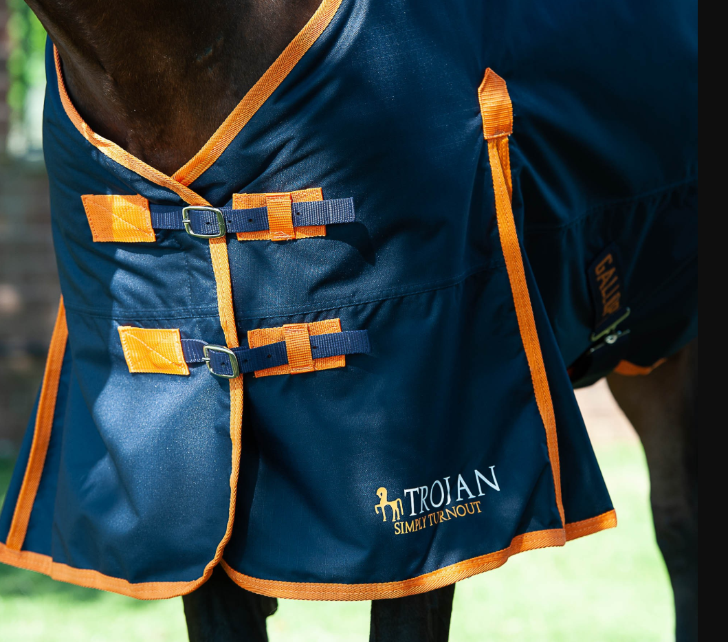 Gallop TROJAN 100g Turnout