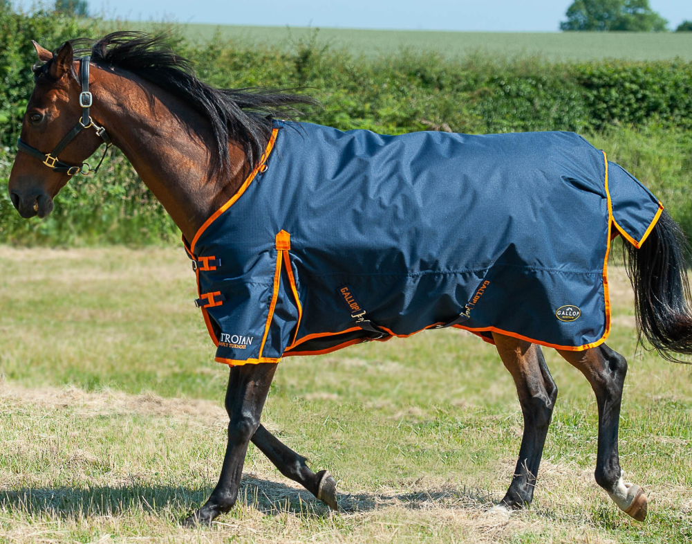 Gallop TROJAN 100g Turnout