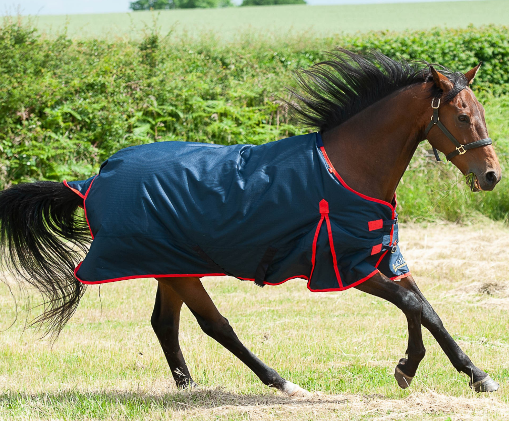 Gallop TROJAN 200g Turnout Rug
