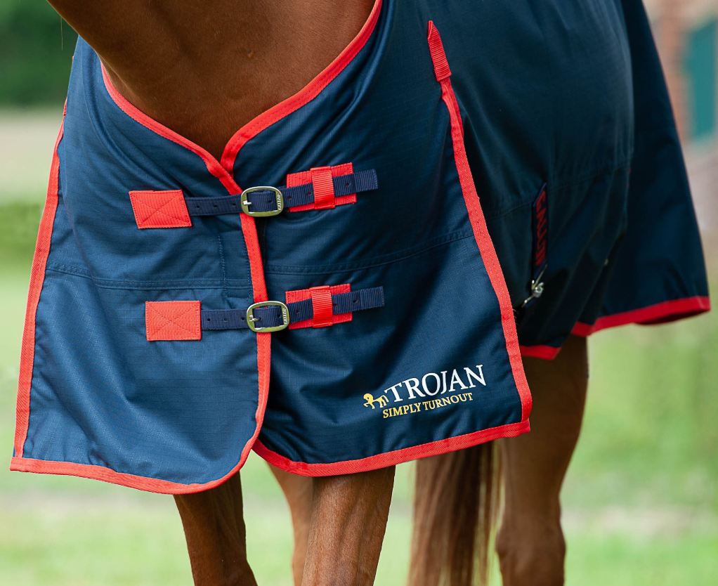 Gallop TROJAN 200g Turnout Rug