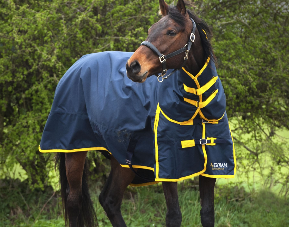 Gallop TROJAN 200g Turnout Combo