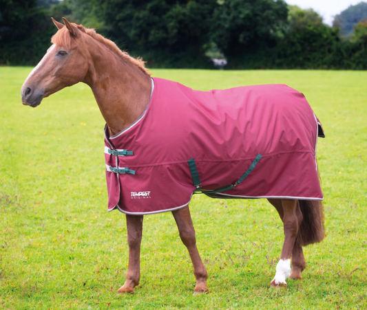 Shires Tempest Original 200 Turnout Rug 5'6