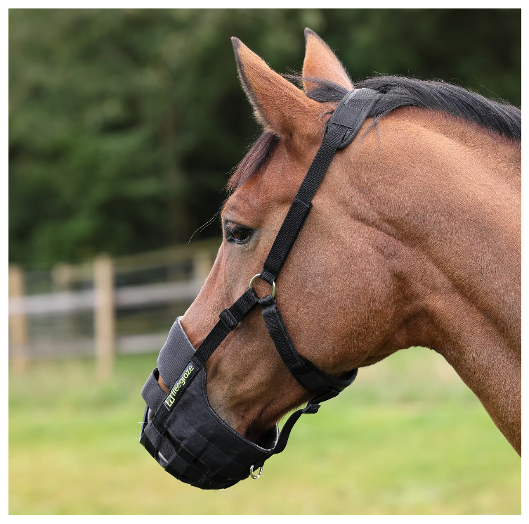 FreeGraze AirFlow Grazing Muzzle