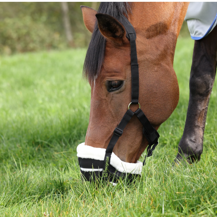 FreeGraze AirFlow Grazing Muzzle