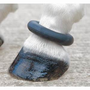 Shires Fetlock Ring Onesize