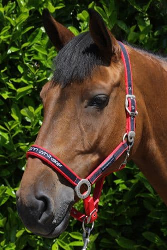 Headcollars and Leadropes