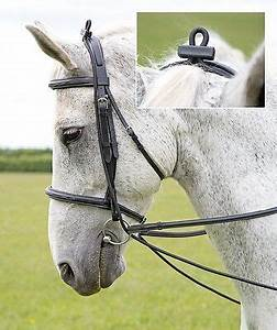 Shires Elastic Training Reins Black