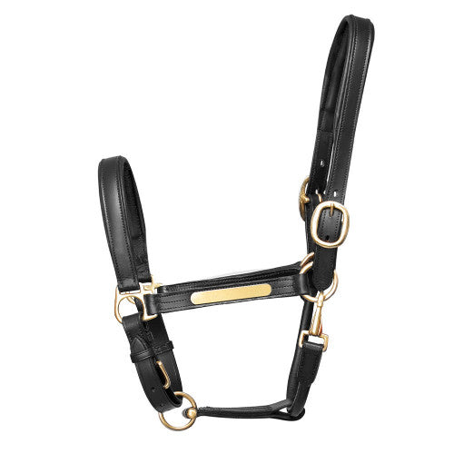 Hy Equestrian Leather Headcollar