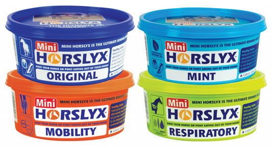 Mini Horslyx Horse Lick Treat