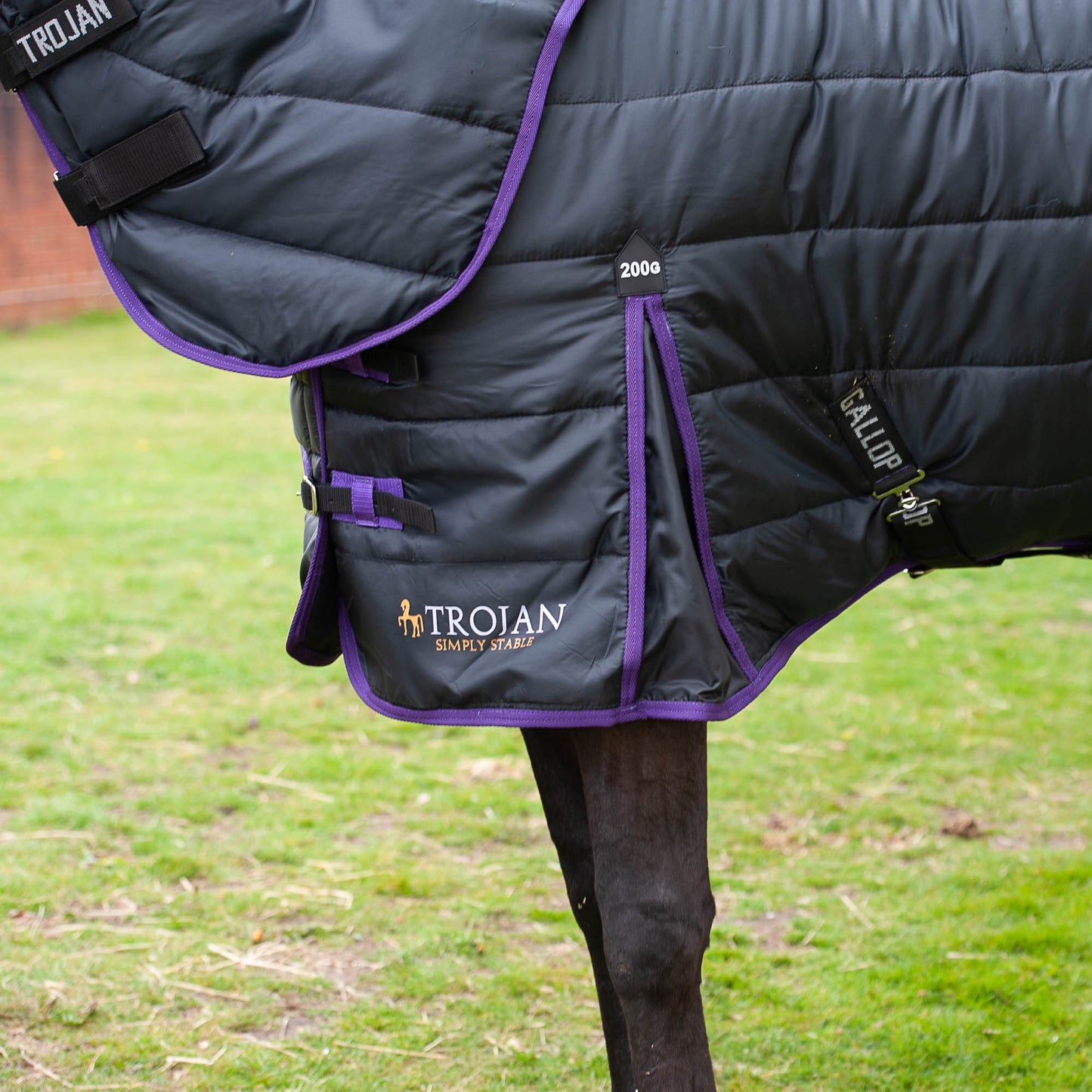 Gallop Trojan Dual 200 Stable Rug and Neck Set