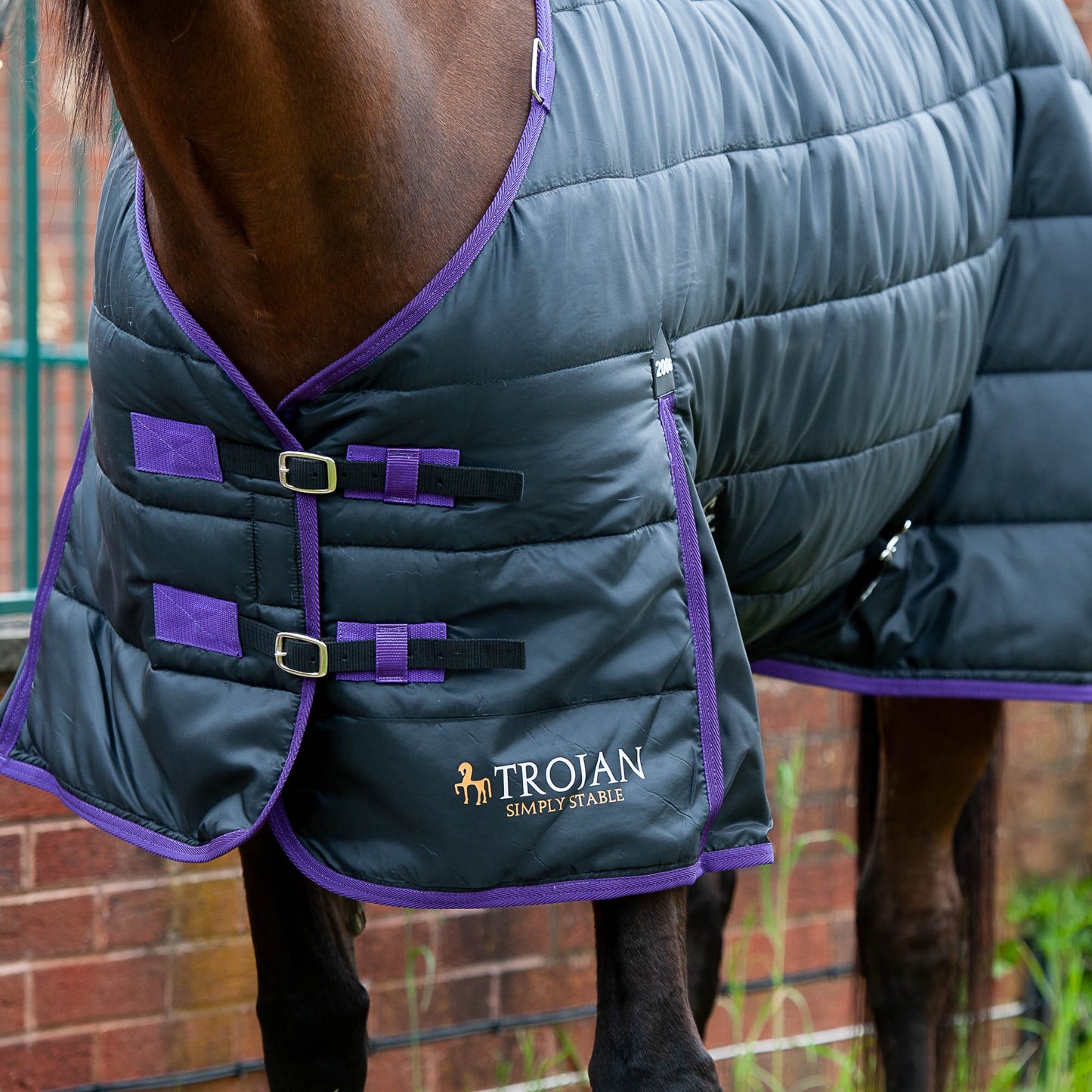 Gallop Trojan Dual 200 Stable Rug and Neck Set