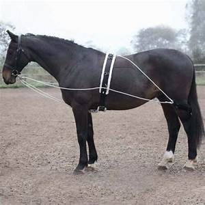 Shires Lunging Aid Black Onesize