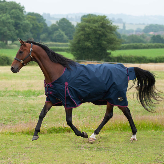 Gallop Trojan 50g Turnout