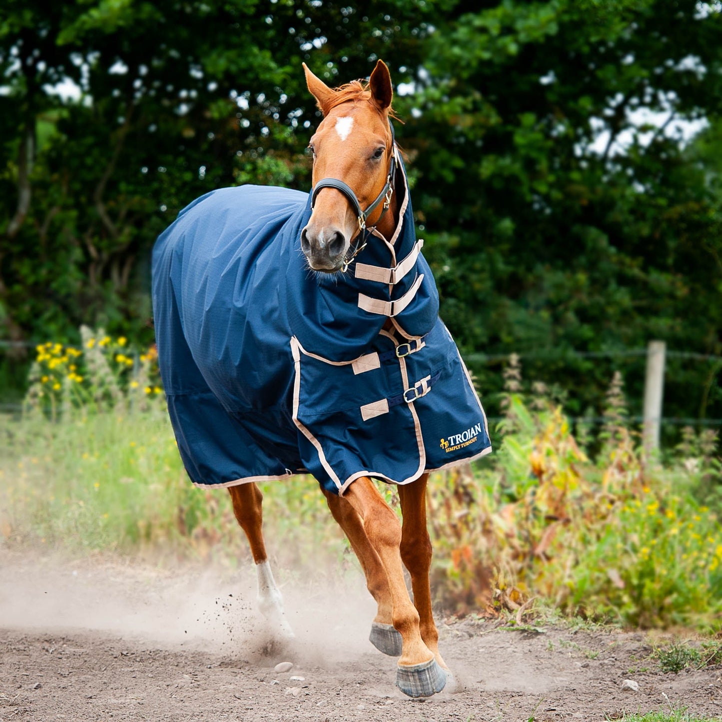 Gallop Trojan 50g Combo Rug