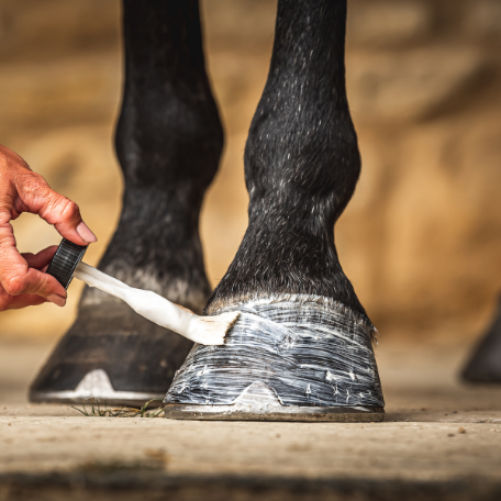 Carr & Day & Martin Daily Hoof Moisturiser