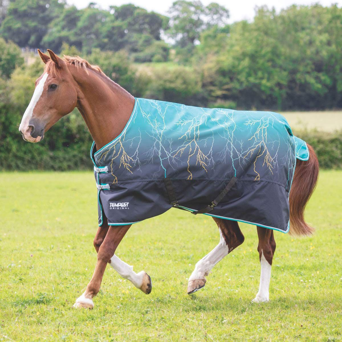 Shires Tempest Original 200g Turnout Teal Lightening Rug