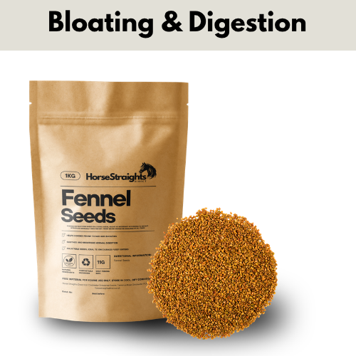 Fennel Seeds