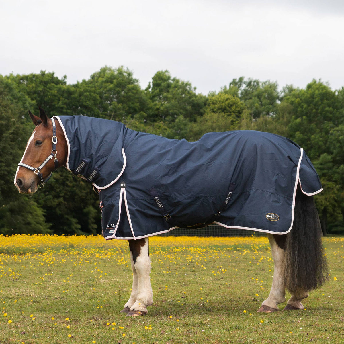 Gallop Trojan Duraproof Turnout Combo Neck 50g