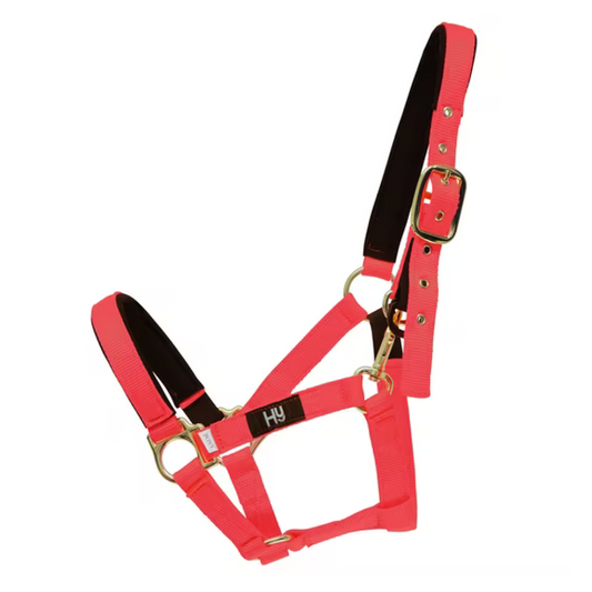 Hy Fieldsafe Headcollar Red