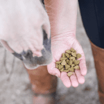Likit Snaks Horse Treat