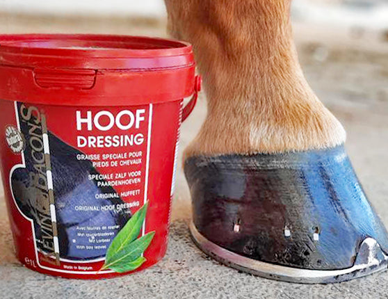 Kevin Bacon's Original Hoof Dressing