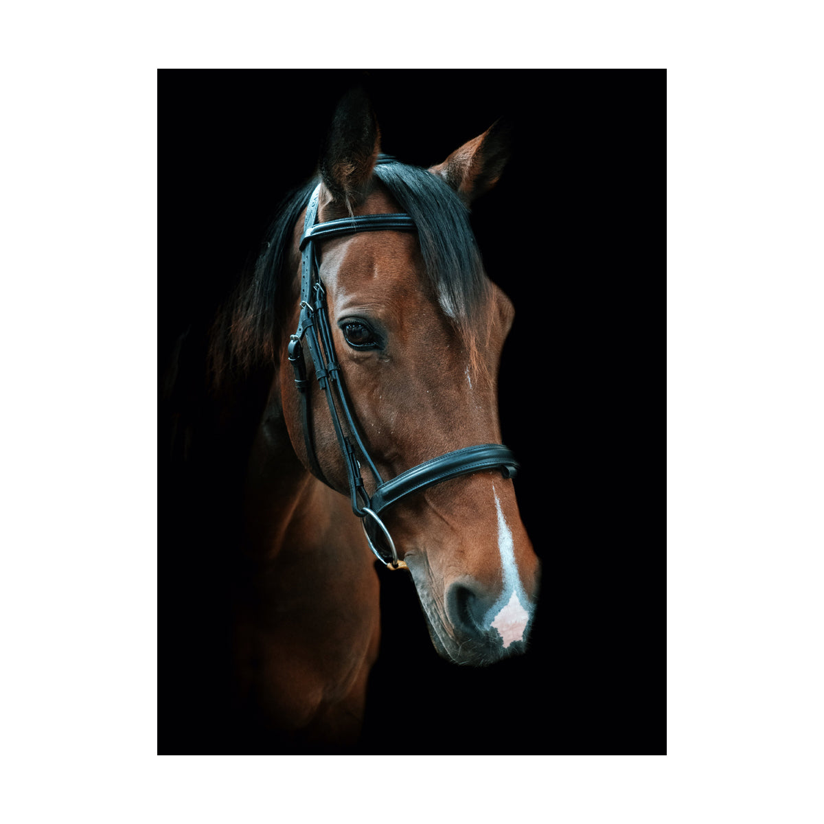 Cameo Core Collection Anatomic Bridle With Sure grip Reins