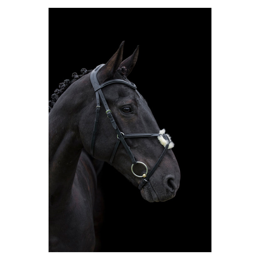 Cameo Core Collection Anatomic Grackle Bridle With Reins