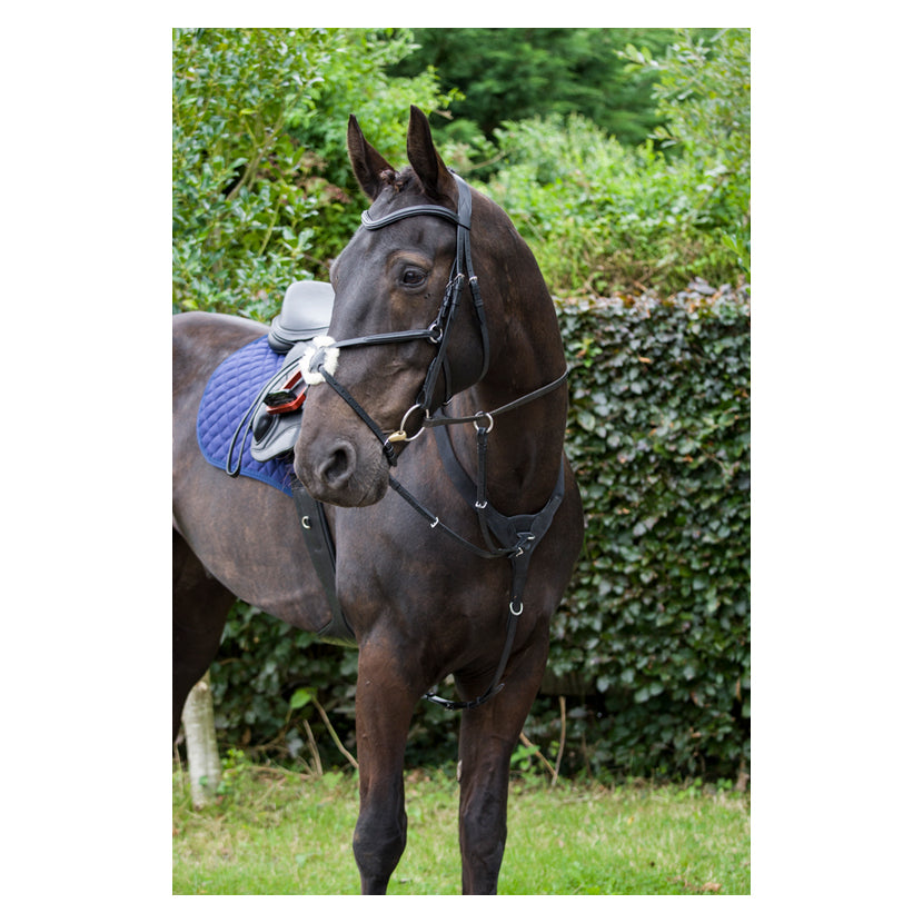 Cameo Core Collection Anatomic Grackle Bridle With Reins