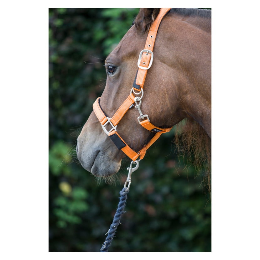 Cameo Equine Fieldsafe Headcollar