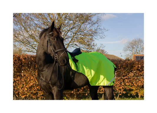 Cameo Hi Viz Wrap around Exercise Sheet