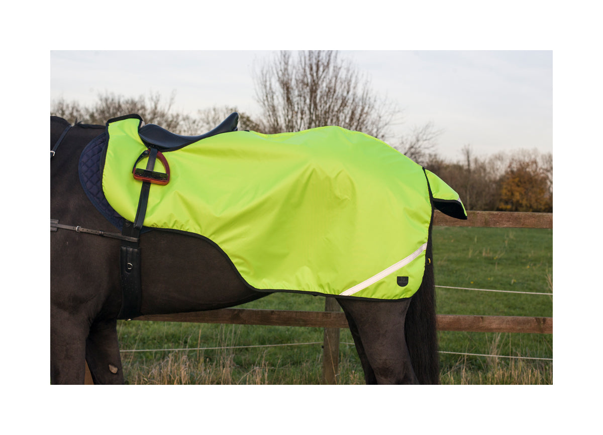 Cameo Hi Viz Wrap around Exercise Sheet