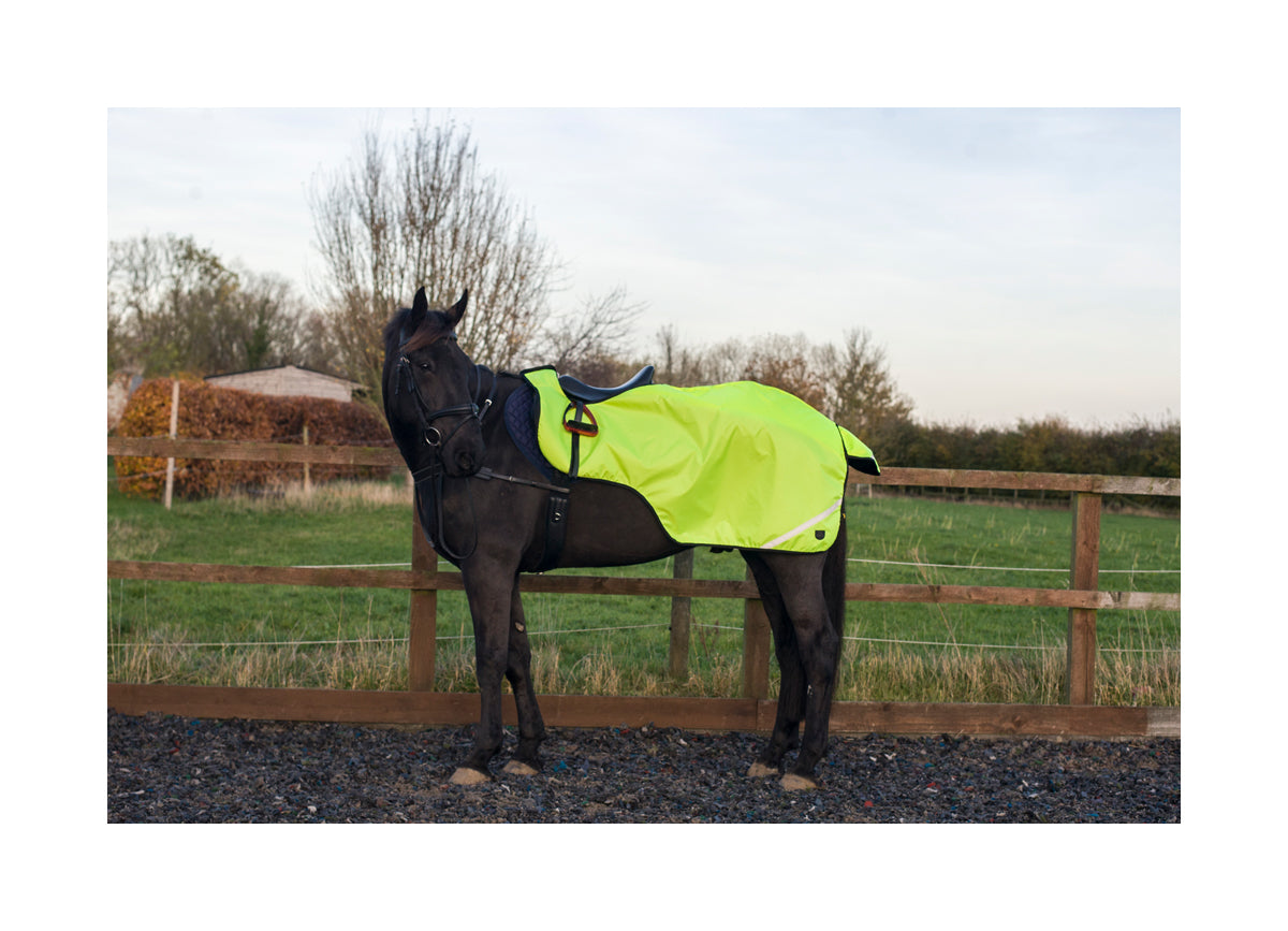 Cameo Hi Viz Wrap around Exercise Sheet