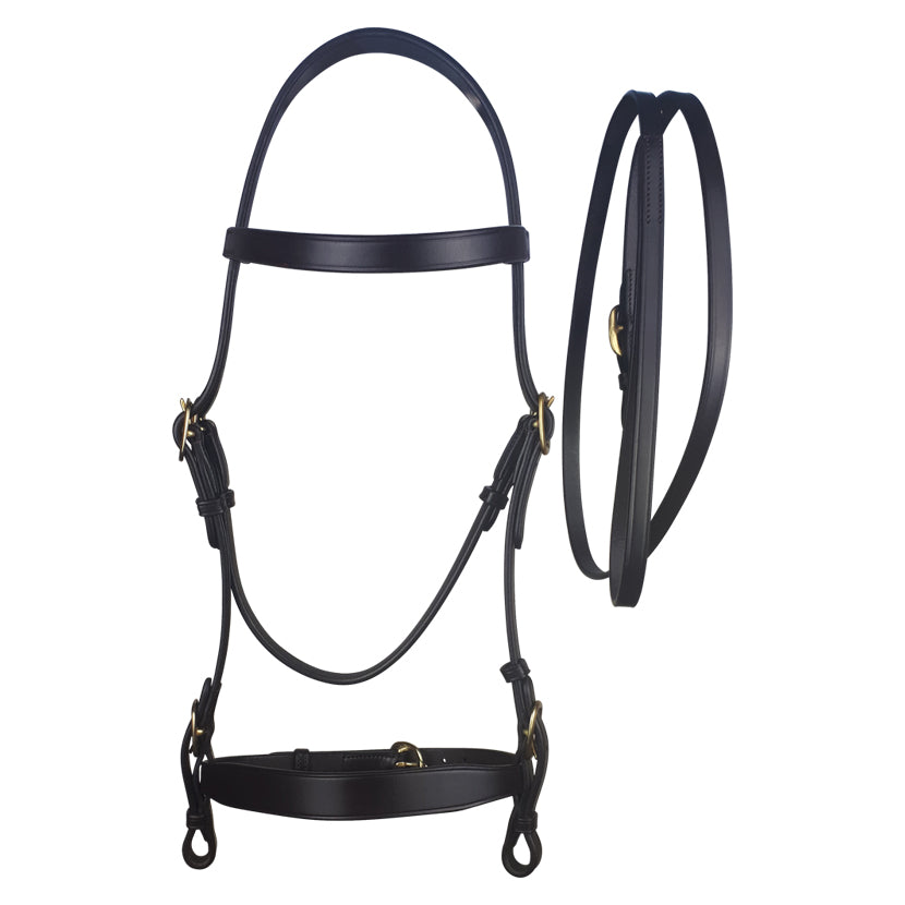 Cameo Inhand Bridle and Lead Rein