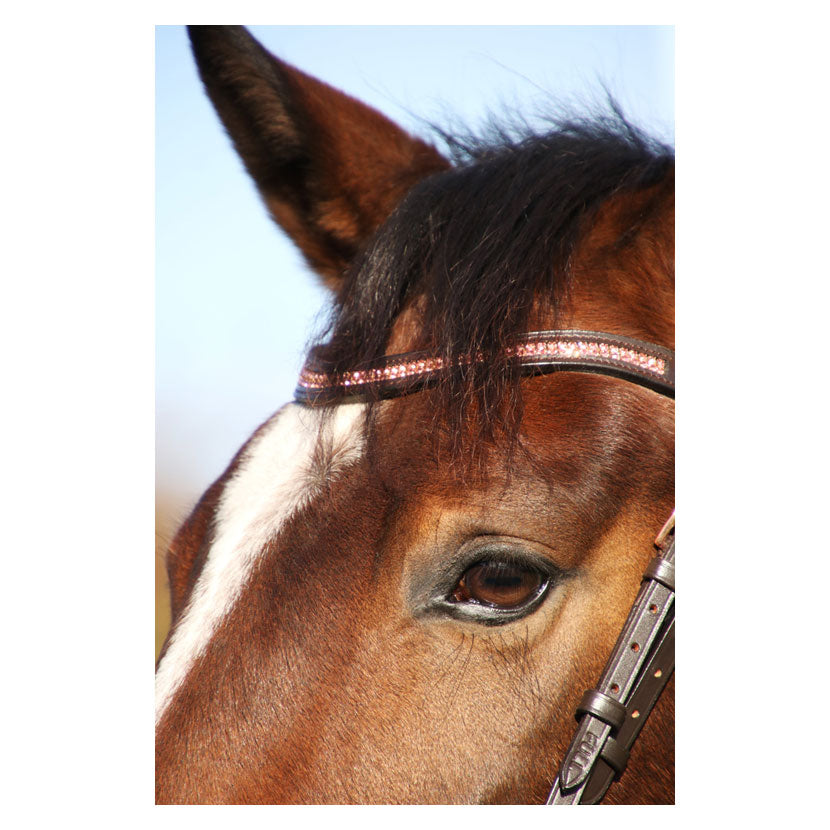 Hy Equestrian Rosciano Rose Gold Browband