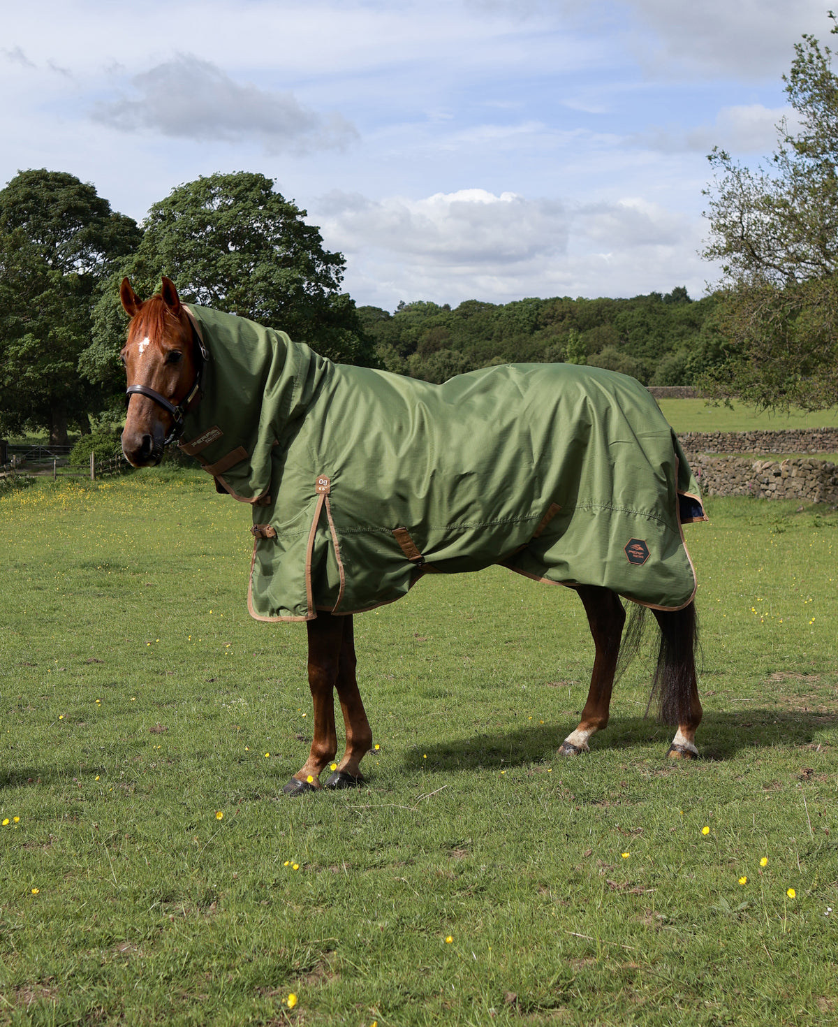 Perf Equine 0g No Fill Combo Neck Turnout Rug Light Olive Pony