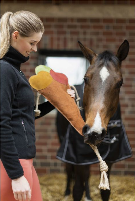 HKM Ice cream toy for horses