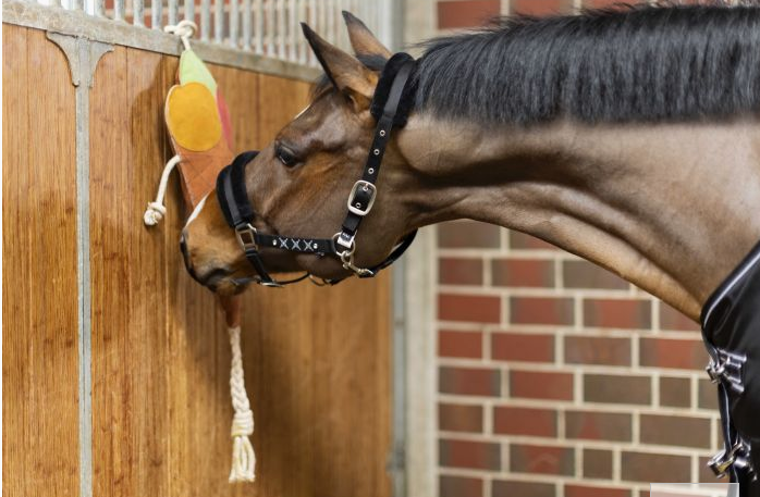 HKM Ice cream toy for horses